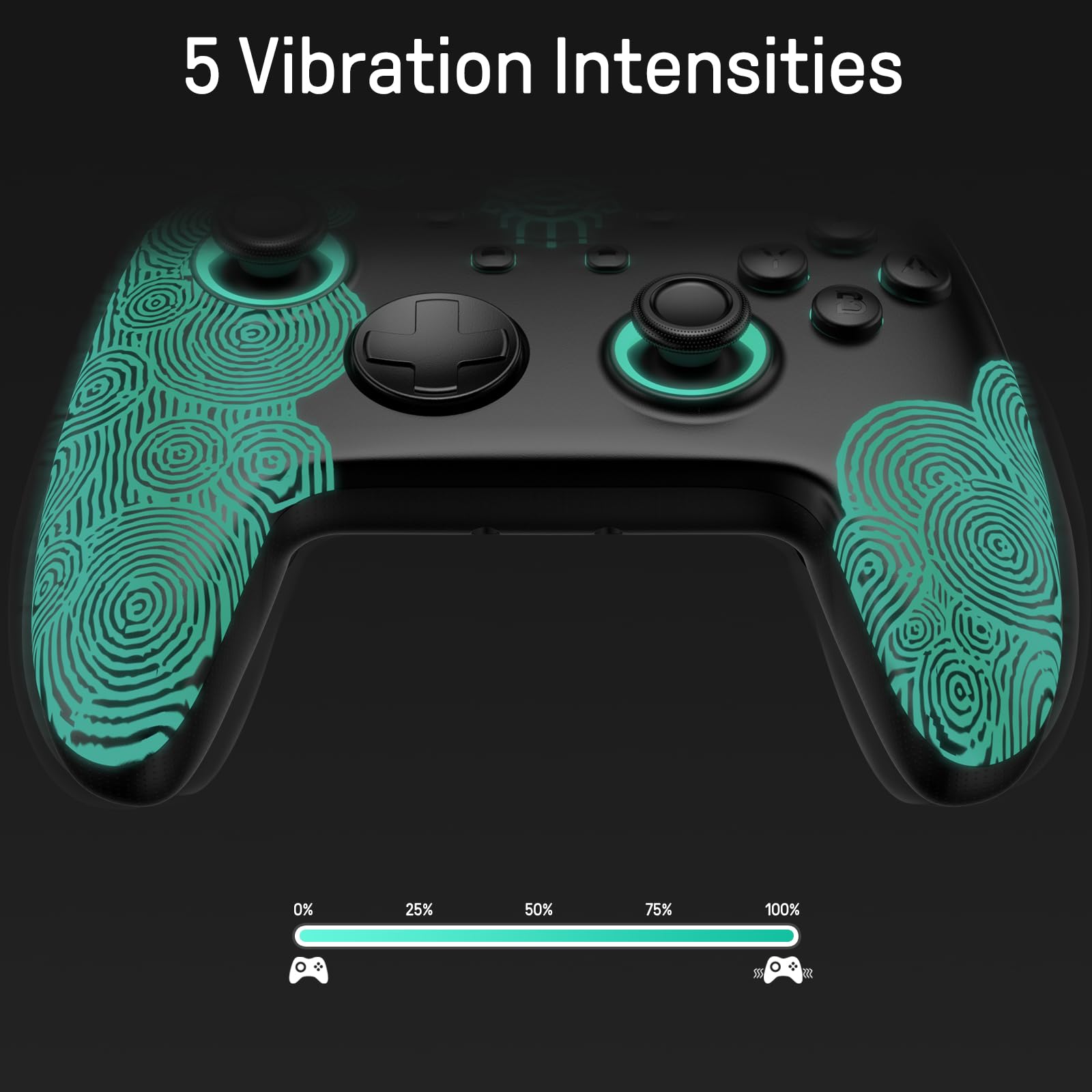 https://m.media-amazon.com/images/I/719SiX6N-jL.jpg