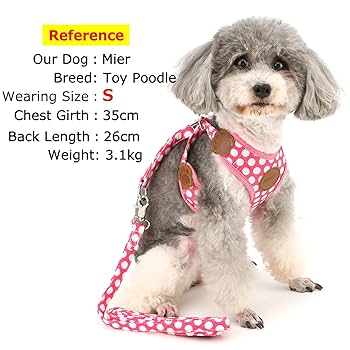 【Maison lulu pinot】litmus pearl harness Maison lulu pinot】litmus pearl harness