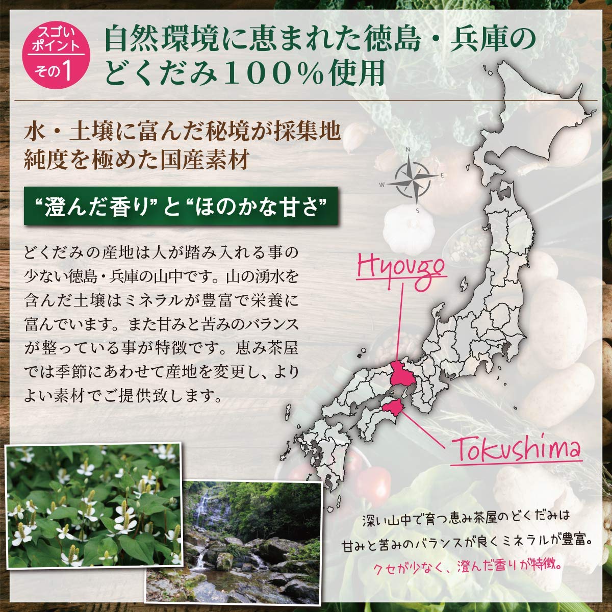 Amazon.co.jp: 恵み茶屋 どくだみ茶 国産 ドクダミ茶 【3g ×24包
