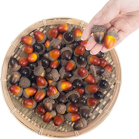acorns for sale amazon