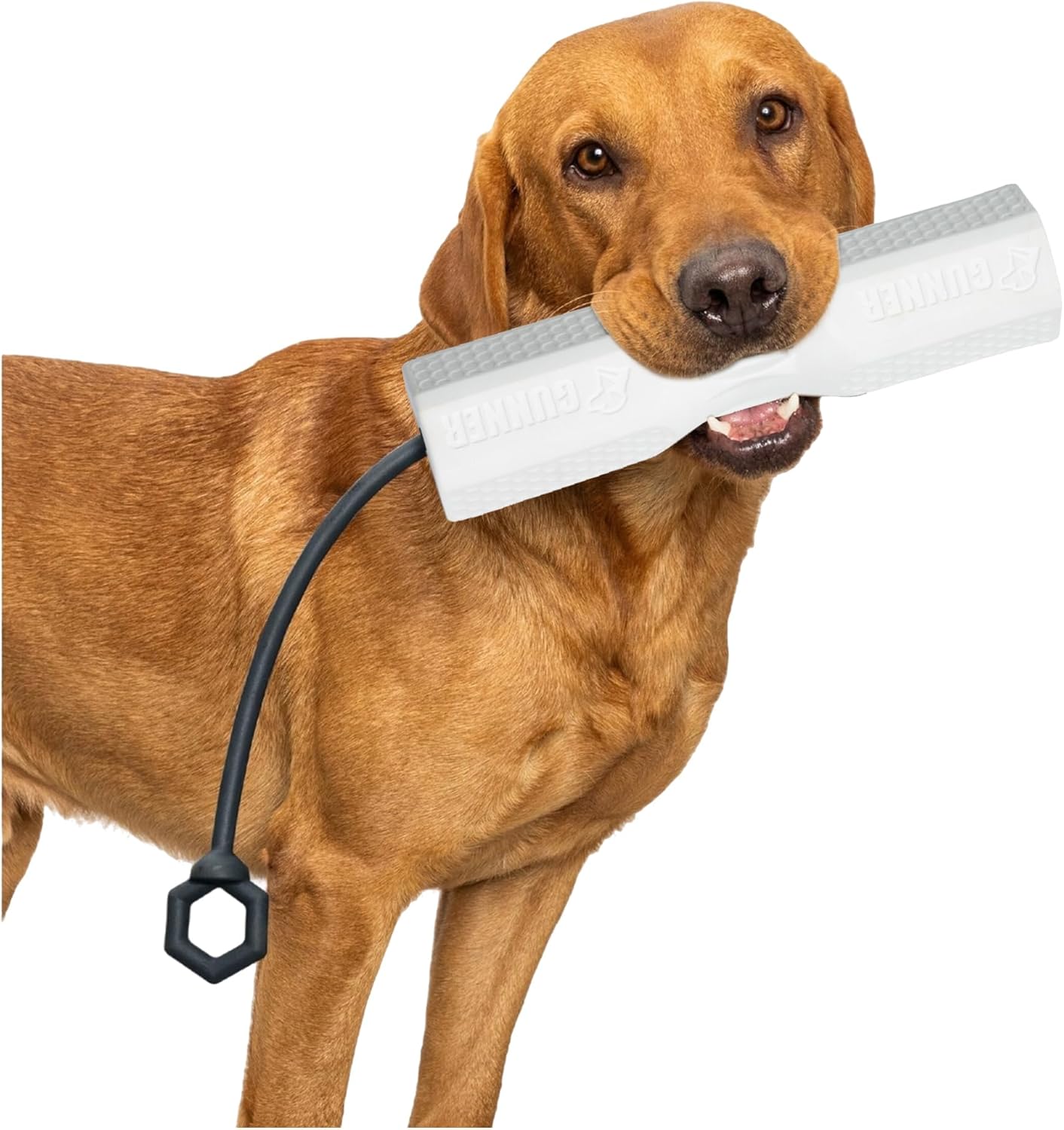 Dog Training Bumper Durable Retriever Dummy for France Ubuy