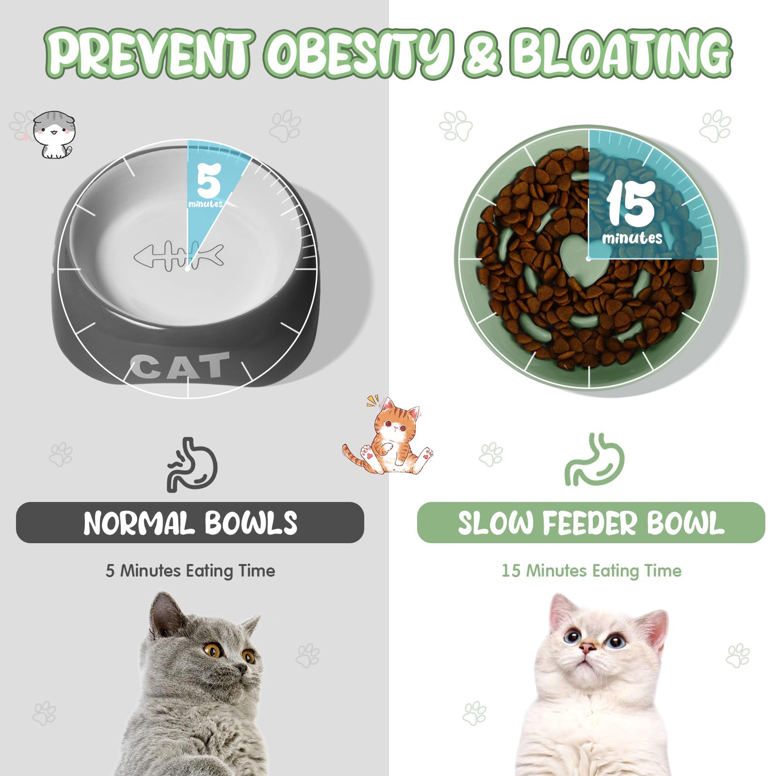 Tioncy Gamelle surélevée en céramique pour chat - Anti-vomissement - Pour nourriture sèche et humide - Facile à nettoyer - Bord haut - Pour chats, petits chiens, chatons, maison, lave-vaisselle - Vert