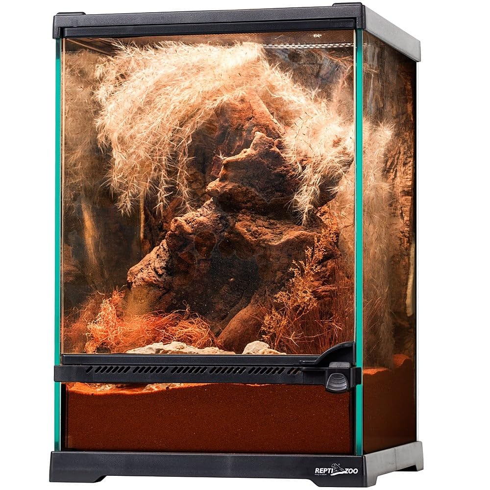 Repti-Zoo Terrario 21 x 21 x 30 cm – Terrario in vetro per rettili, anfibi, aracnidi e insetti