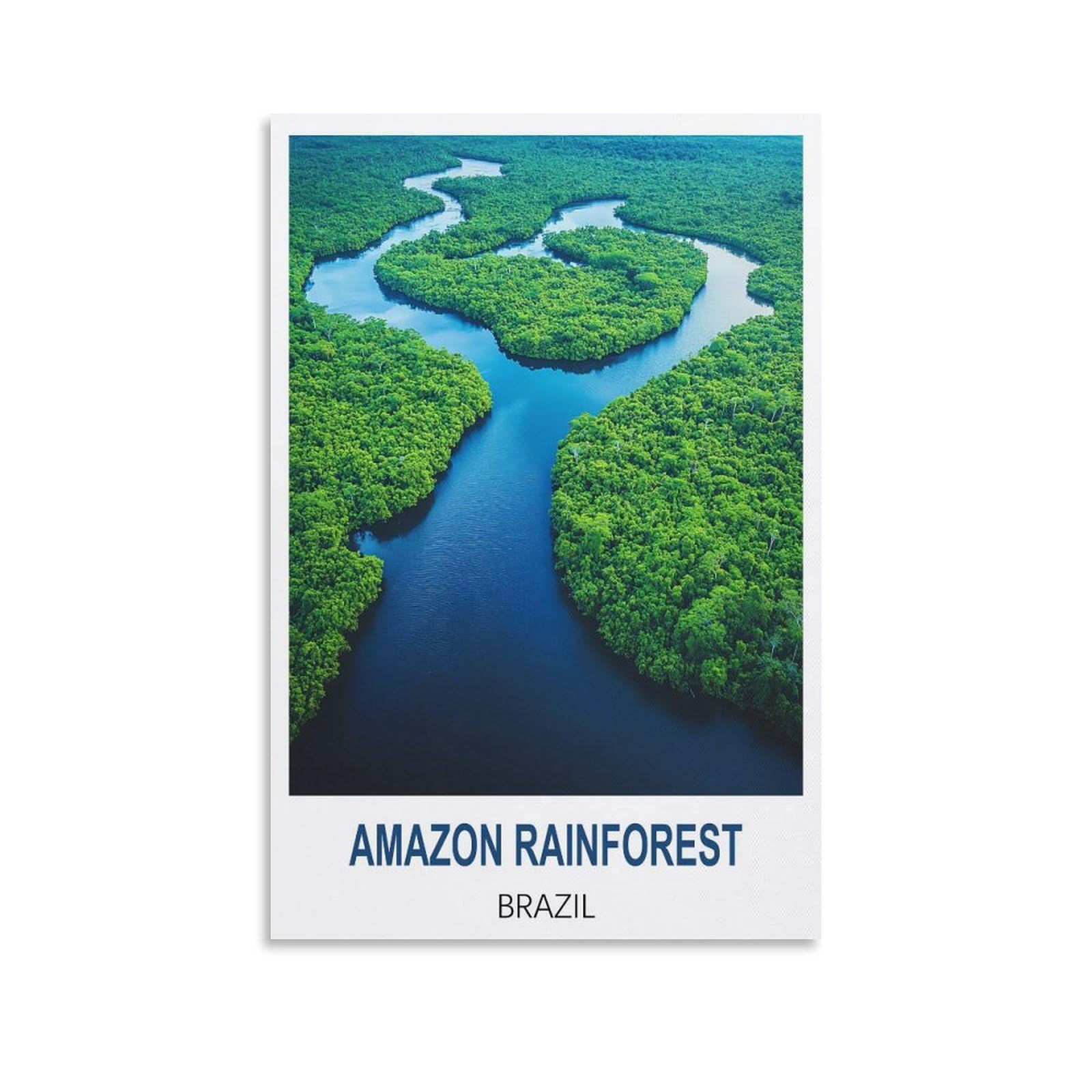 Amazon Rainforest Brazil Vintage Travel Posters 20x30inch(50x75cm) Canvas Wall Art Painting Prints