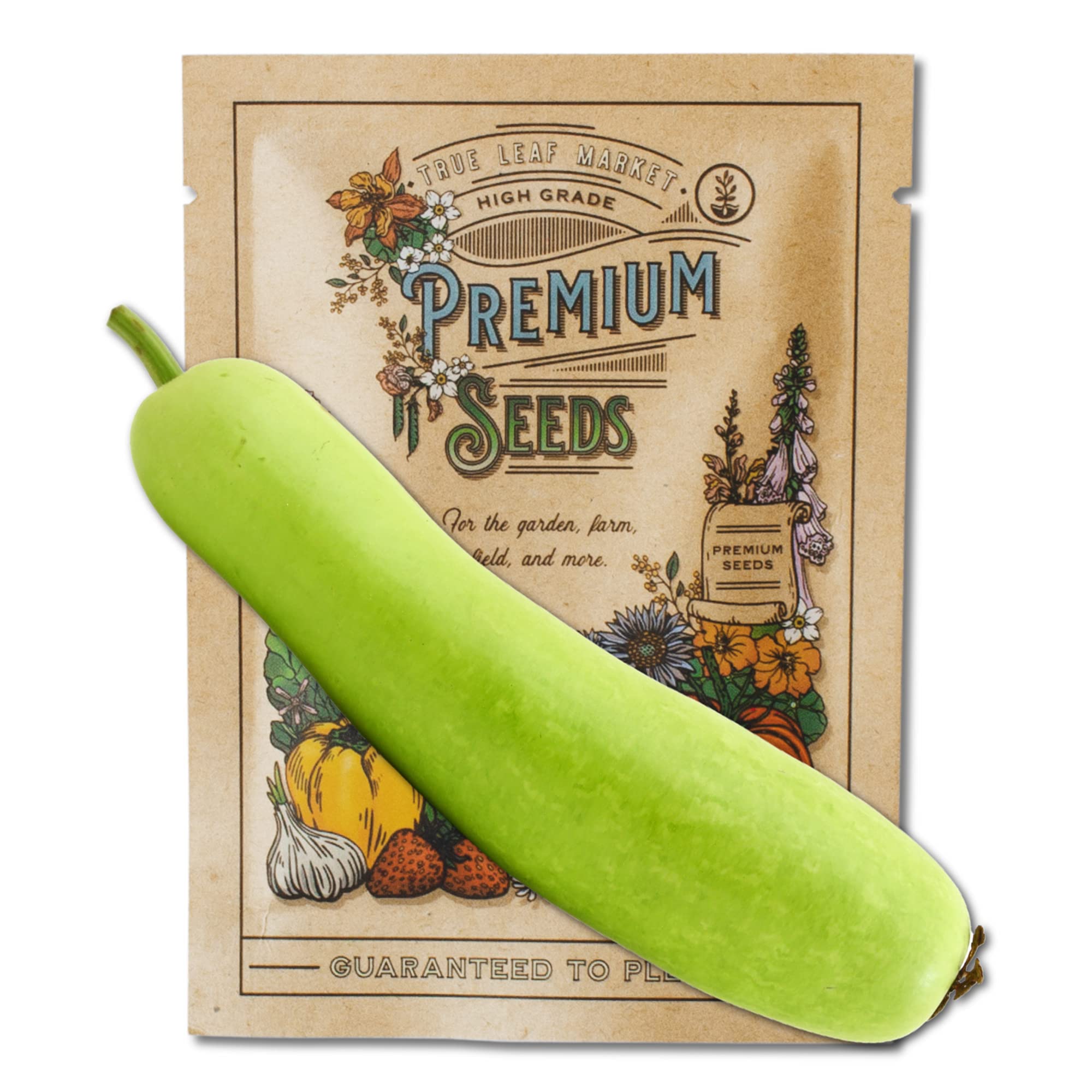 Gourd Seeds for Planting - Cucuzzi (Italian Edible) - 2 g ~10 Seeds - Non-GMO, Heirloom Farm & Garden Cuzuzzi Gourd Vegetable Seeds - Sealed in a Beautiful Mylar Package for Extended Shelf Life