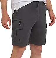 Quiksilver Men's Hybrid Cargo Shorts - Quick-Dry Water-Friendly, 9" Inseam, 7-Pocket Utility, Regular Fit for Active Adventures