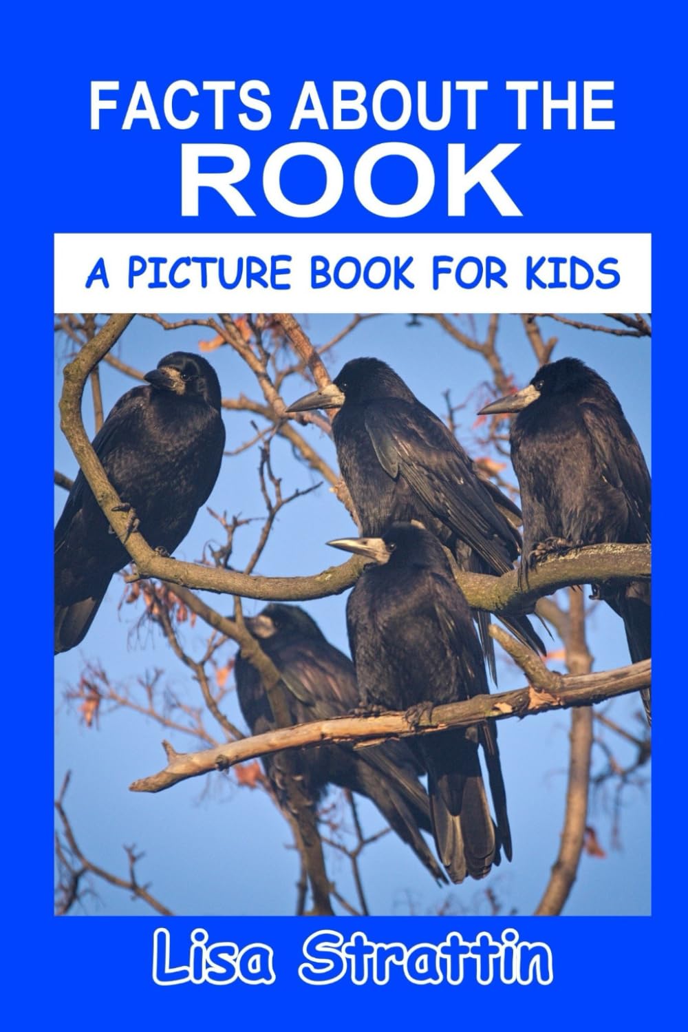 Facts About the Rook (A Picture Book For Kids)