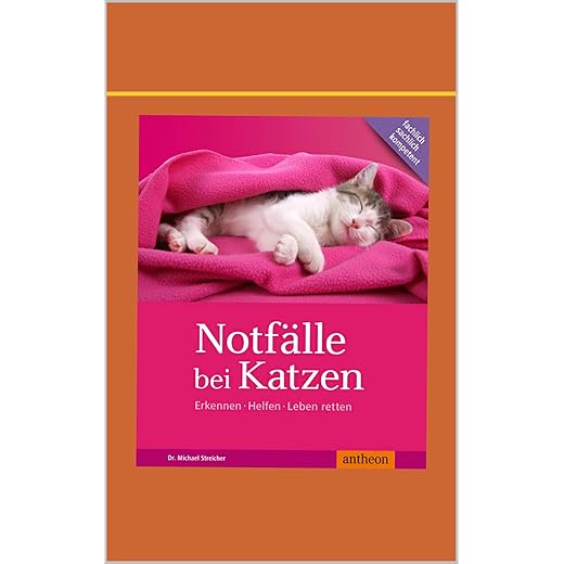 Notfälle bei Katzen: Erkennen Helfen Leben retten