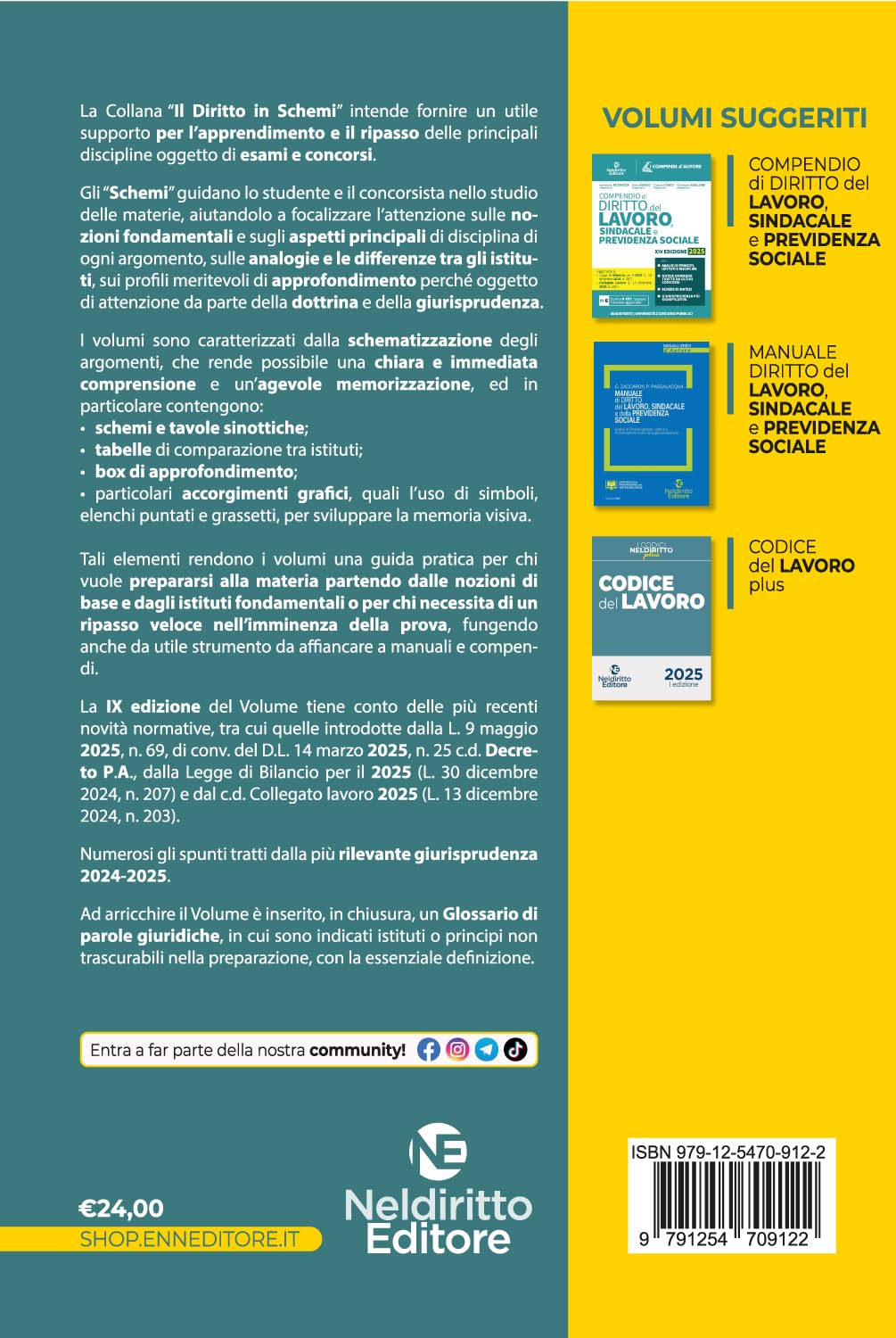 Schemi di diritto del lavoro 2025