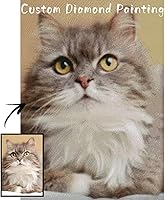 Vista 1 de Kits de pintura de diamantes personalizados, hazlo tú mismo, personaliza tu propia imagen, arte personal de diamantes 5D para adultos, regalos