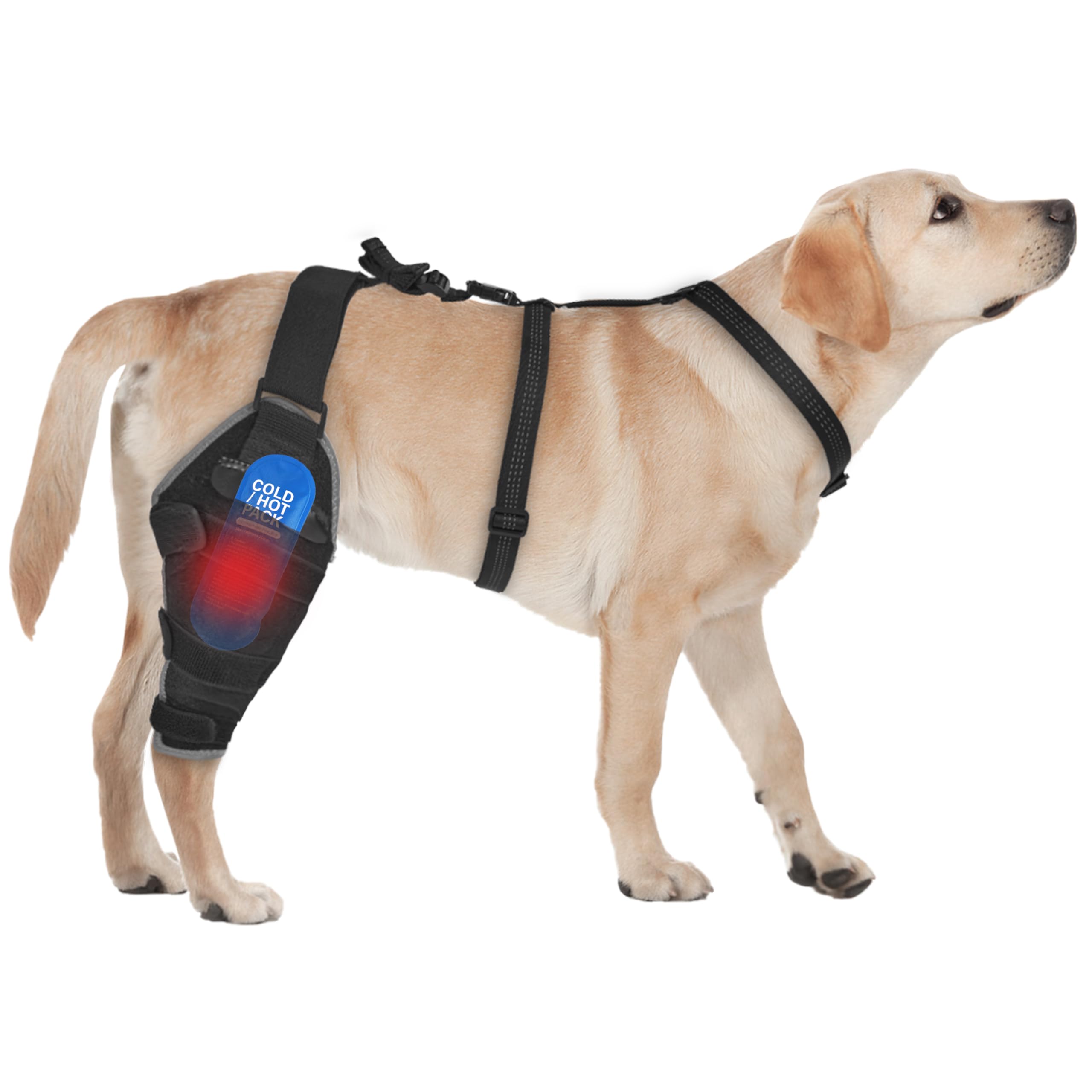 Moysoon Dog Knee Brace for Back Leg - Adjustable Breathable Canine Leg Wrap with Hot & Cold Gel Packs - Supports Large & Medium Dogs with Arthritis, Hip Dysplasia, ACL Injuries, Right Hind Leg (L) — image 1