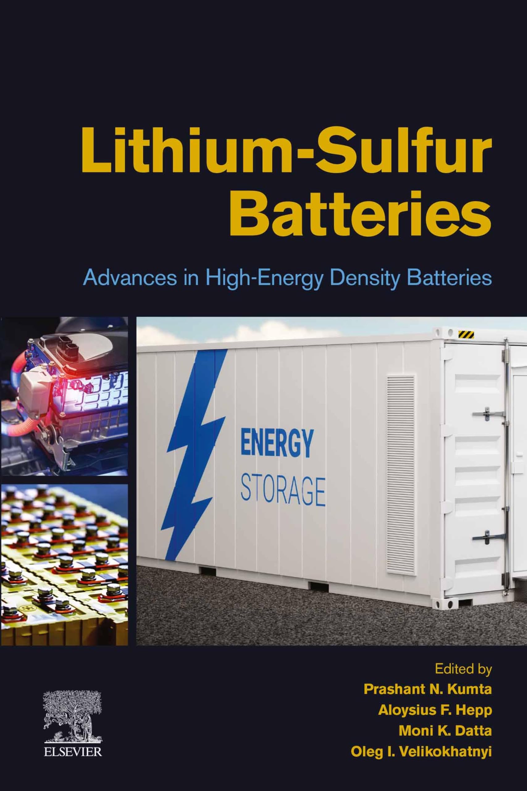 Lithium-Sulfur Batteries: Advances in High-Energy Density Batteries (English Edition)