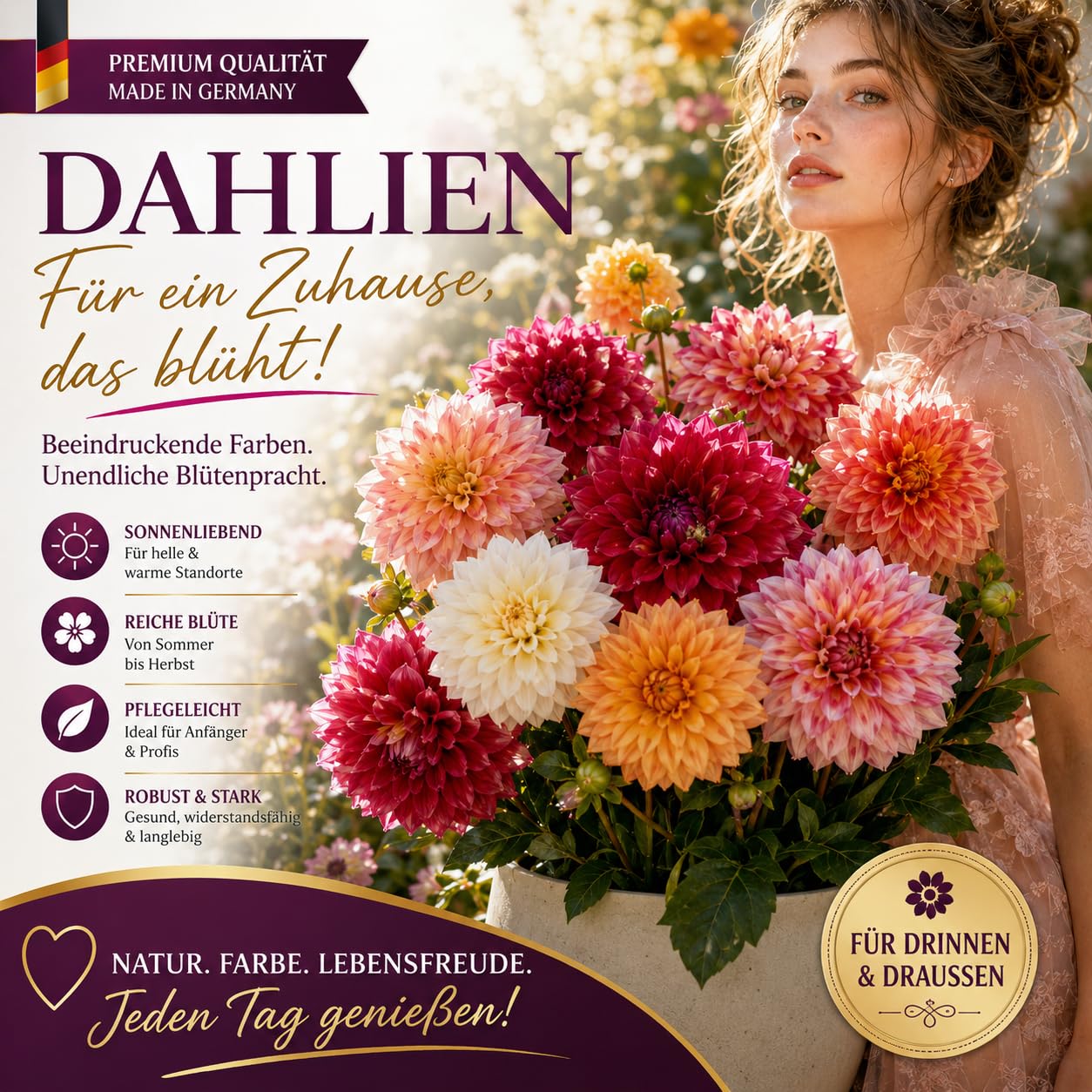 Premium Dahlien, Gartendekoration, üBerraschend Wachsend, Schattentolerante, Lange BlüTezeit, 10Dahlien-C