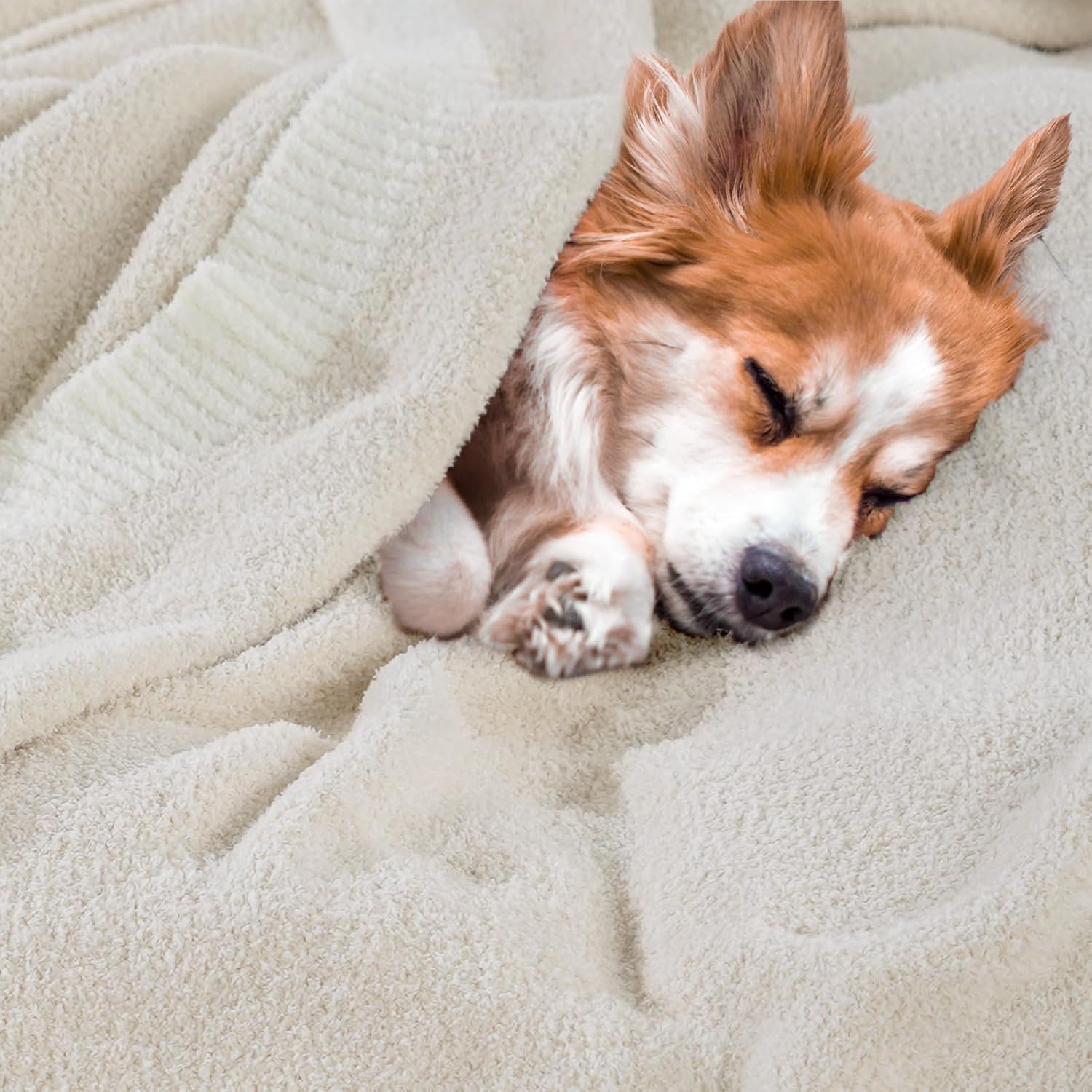 NEXHOME PRO Super Soft Blanket for Women, Cozy Blanket Warm Reversible Knit Lightweight Throws for Couch, Sofa Bed, Picnic, Heather Ivory, 50 x 60 inches - Image 2