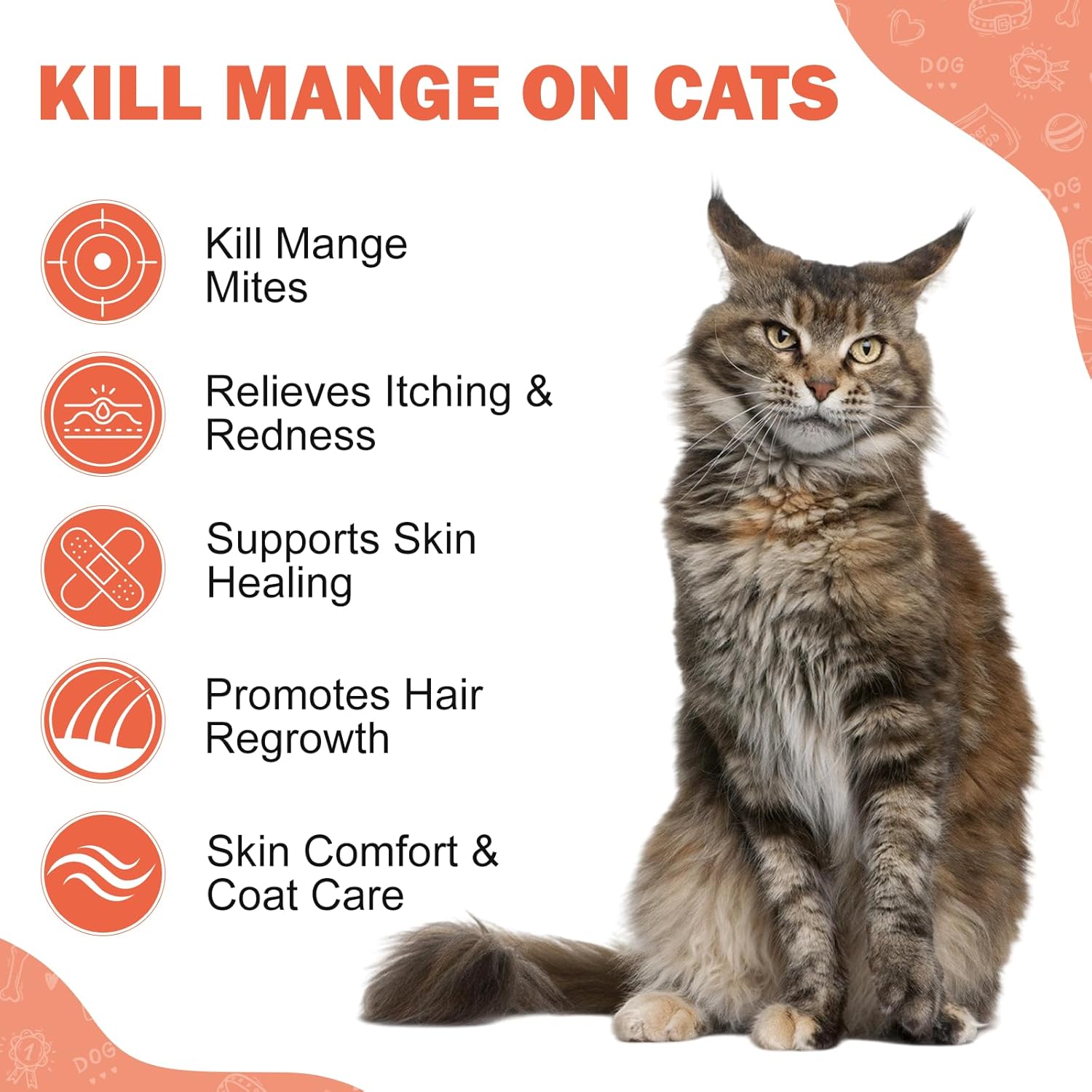 Mange Treatment Cats, Hair Regrowth, Skin Repair, Treats Scratching, Itch & Scabs, Ear Cleaning, Scabby Cat Treatment, Safe for Feral & Stray Cats, 200 Pills