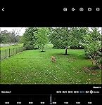 Review Image by George L. George L.