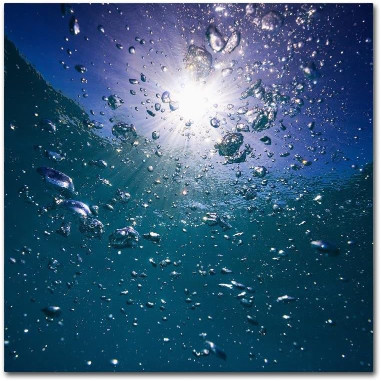 Bubbles by Hugh Evans, 35x35-Inch Canvas Wall Art