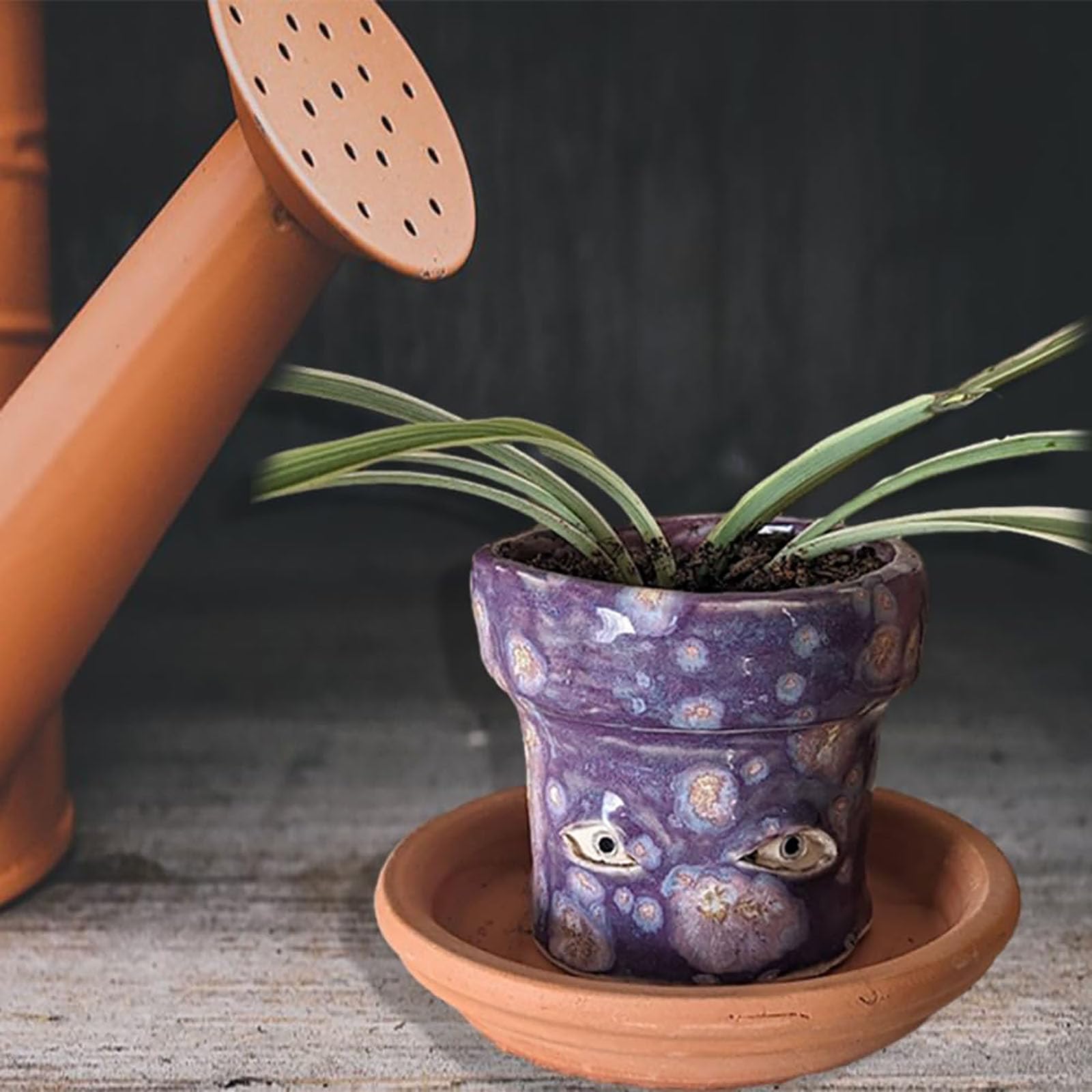 ❤*︎様 ぴよたん作　虎モチーフ 植木鉢（ハンドメイド） Amazon.co.jp: Zhuaguo ハンドメイド泣く植木鉢、面白い目の植木鉢
