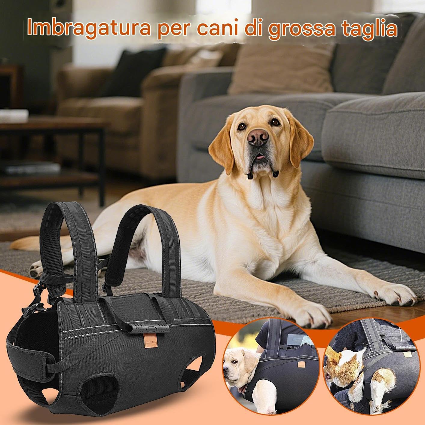 Guinzaglio Sollevatore per Cani Pettorina Regolabile Traspirante | Imbracatura Di Sostegno Canino Per Cani Anziani E Razze Grandi, Alla Mobilità, Riabilitazione, Passeggiate Quotidiane,
