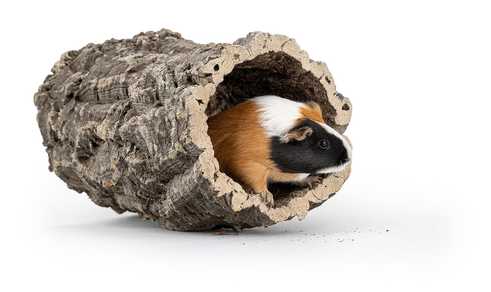 Rurka korkowa Happet - naturalna kora dębu korkowego – akcesorium wspinaczkowe dla gadów, bezkręgowców i małych ssaków, uniwersalne i estetyczne do terrariów i wolier (10-15 cm x 20 cm)