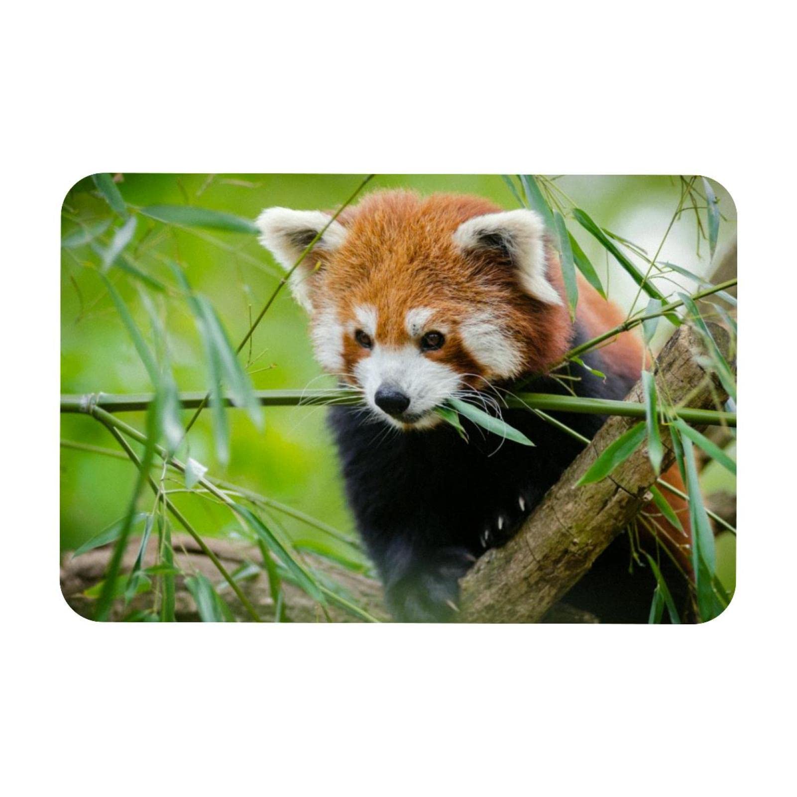 Amazon.de: Dekorativer Fuabtreter aus Bambus, Motiv: roter Panda, 50,8 x  78,7 cm, rutschfest, rechteckig, fr Innen- und Auenbereich, Haus und  Garten