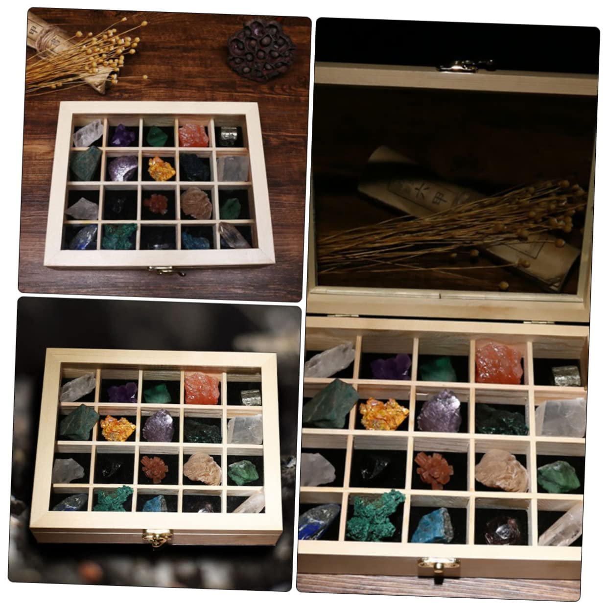 20 Stück Mineralien Natursteine Sammlungsbox Geologische Lehrmittel für Aquarium Garten Wohnzimmer Schlafzimmer
