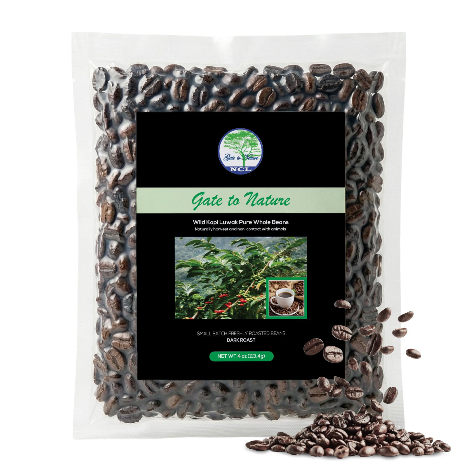Amazon.com: Gate to Nature Wild Civet Arabica Coffee Whole Beans