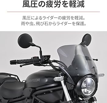 Amazon | デイトナ(Daytona) エリミネーター(24)専用 スクリーン