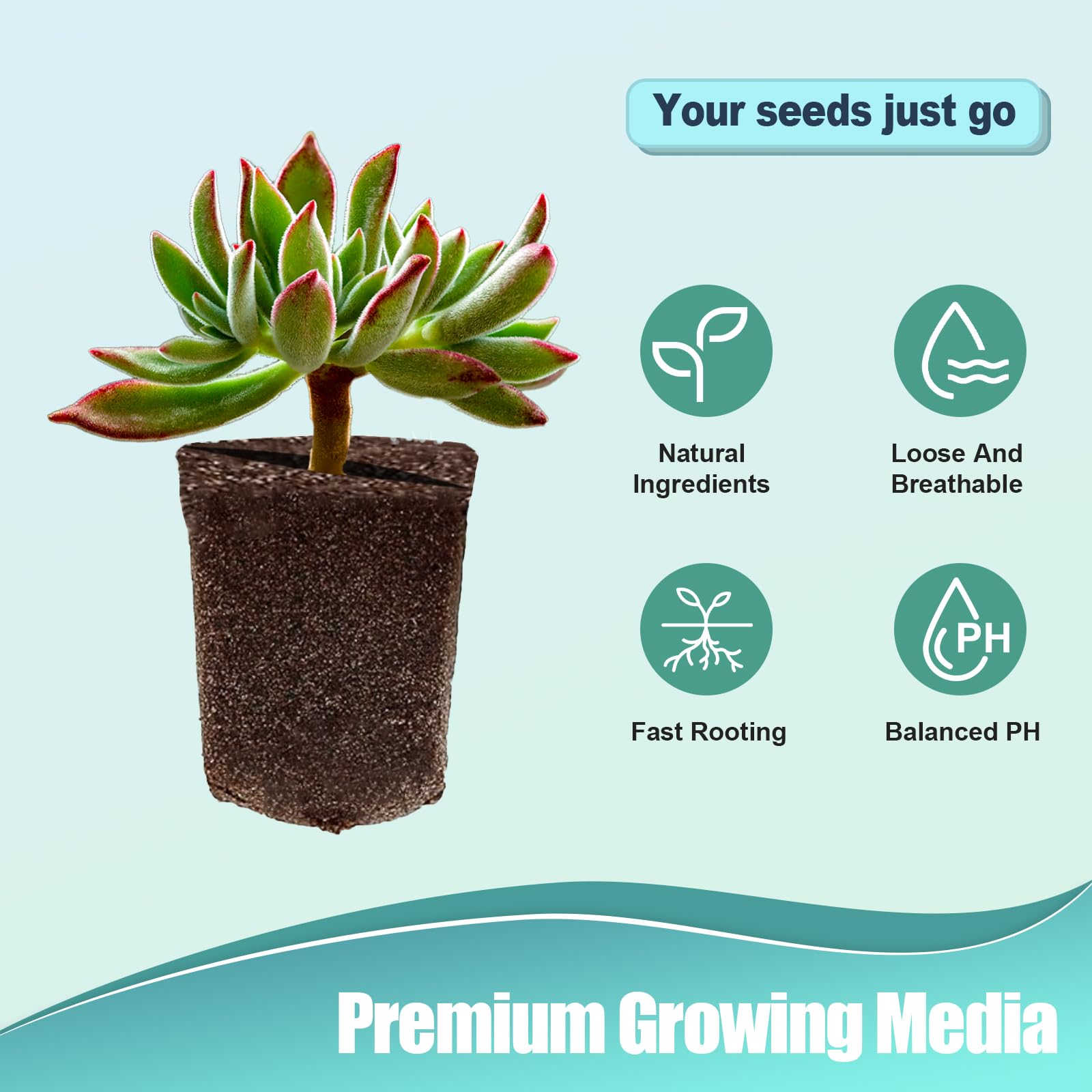 Lot De 50 éponges De Culture Pour Culture Hydroponique Capsules De Graines De Remplacement Pour Aero Garden Recharge~p144662258