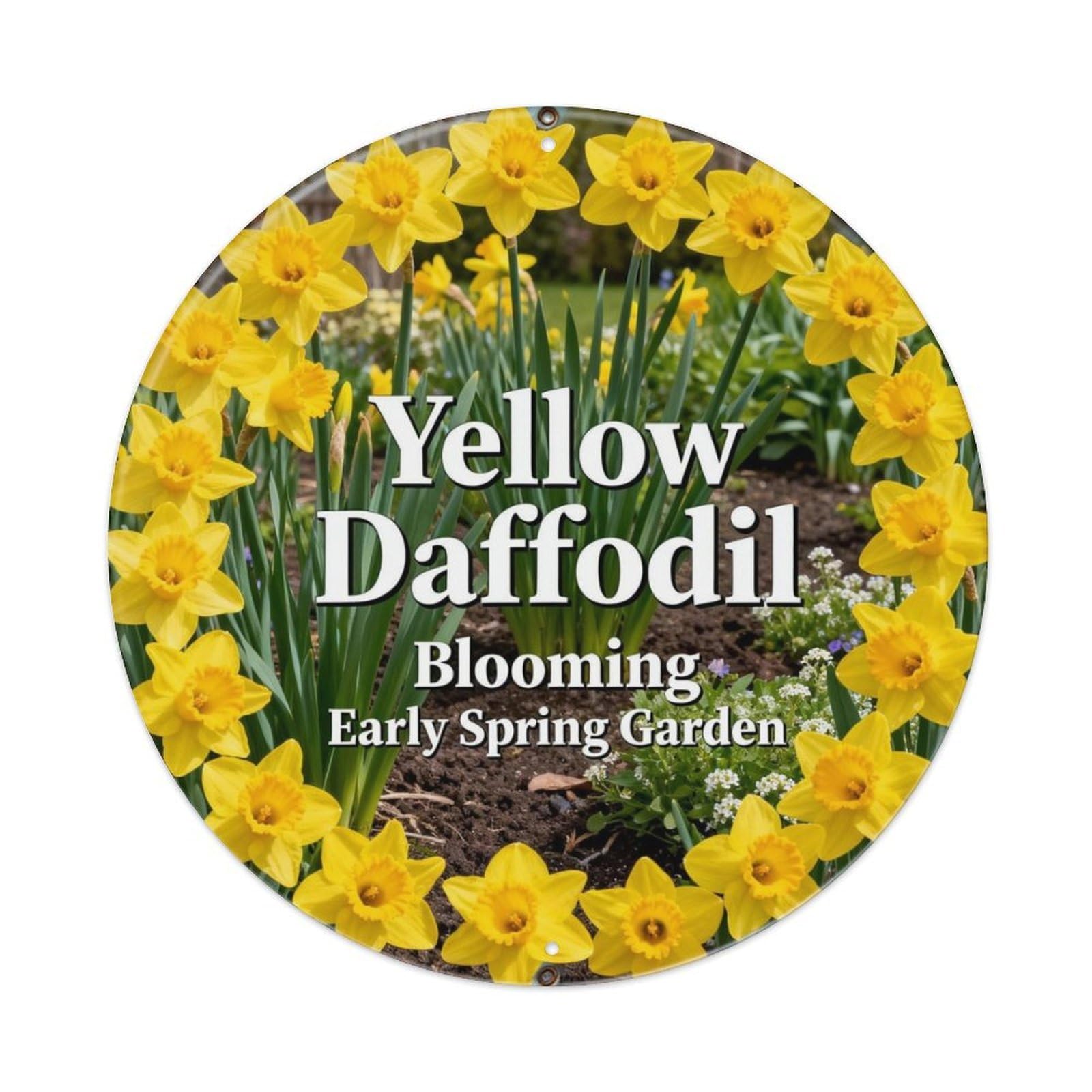 Yellow Daffodil Blooming Early Spring Garden Metal Tin Sign Plaque