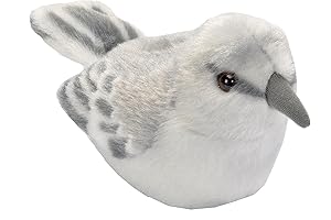 Audubon Birds Northern Mockingbird