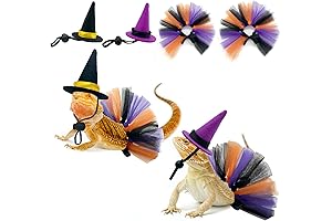Vehomy 4Pcs Bearded Dragon Witch Costume