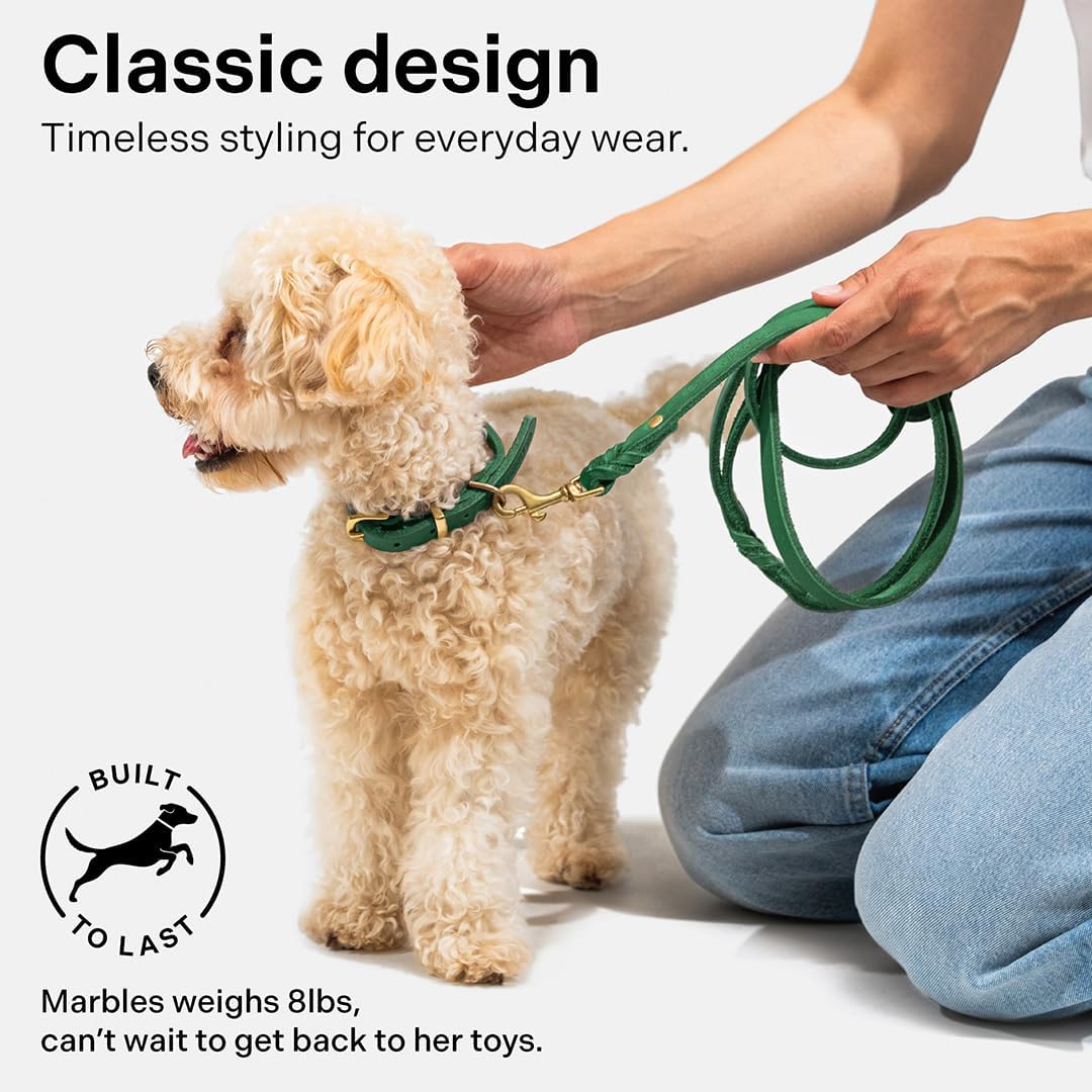 Scout Supply Classic Leather Dog Leash | Strong Heavy Duty Thick Full Grain Leather | Waterproof & Rust-Proof Brass Hardware (Green, M: 4.5 ft x 1/2 in)