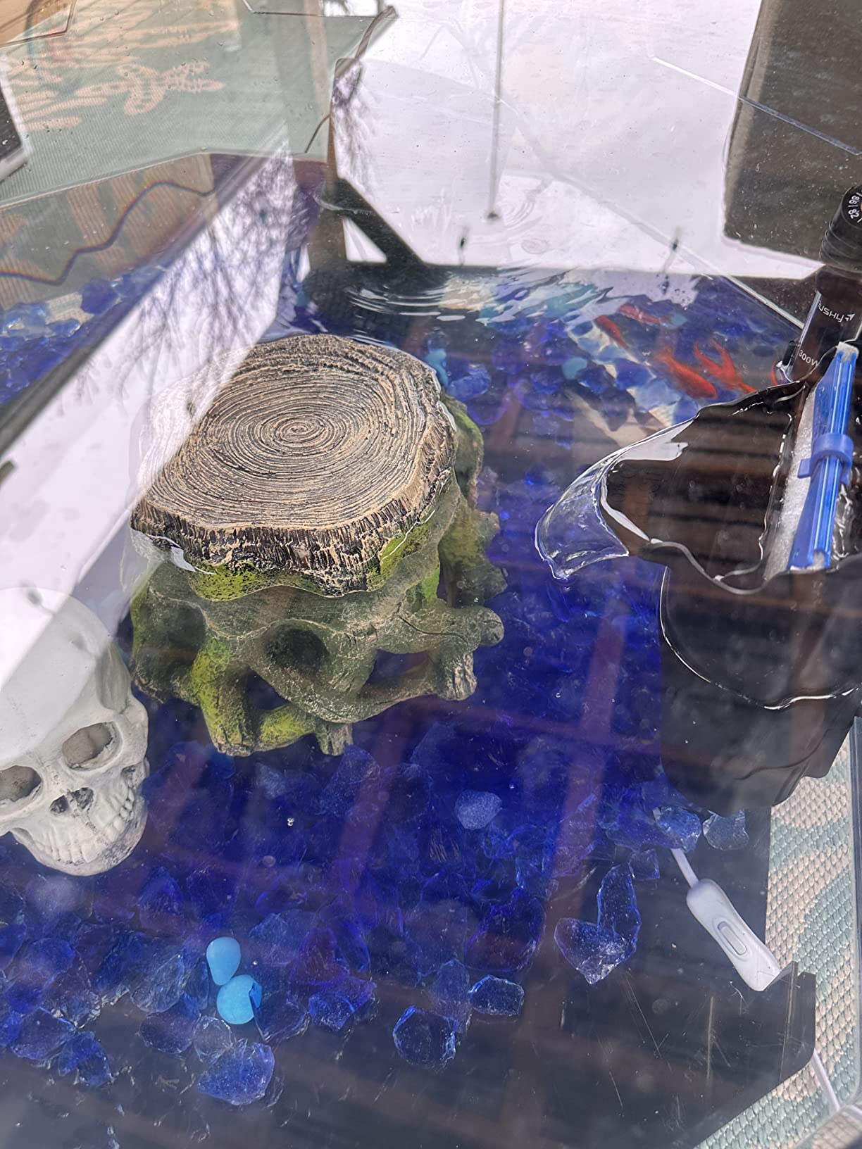 $32/mo - Finance Long Octagon Aqua Coffee Table Aquarium | Buy Now, Pay ... - Goldfish Octagon Aquarium Bottom