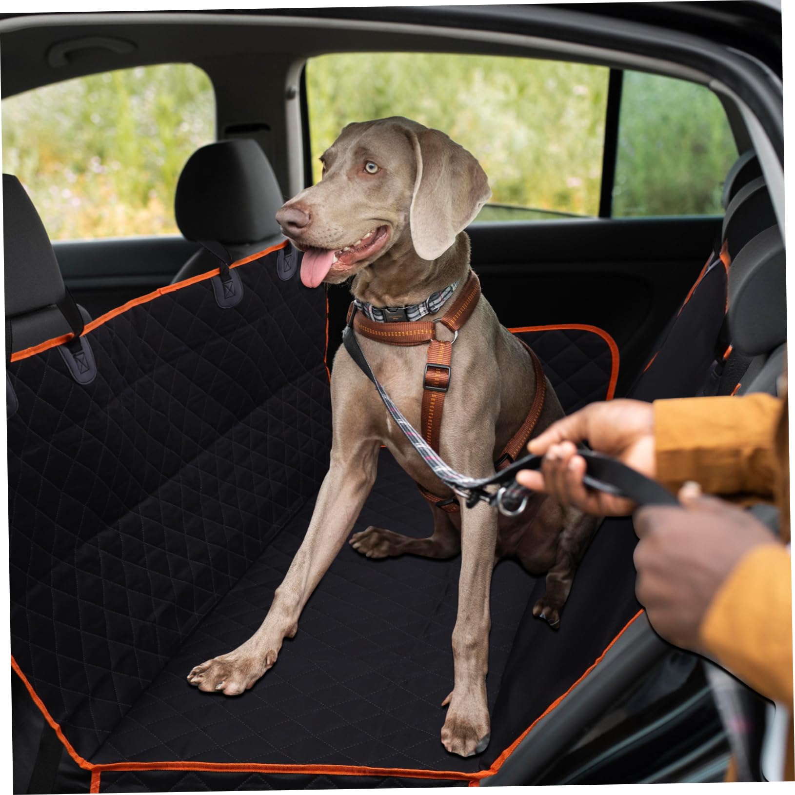 Alfombra para Mascotas Funda para Asiento De Coche Protector De Asiento para Perros del Coche Material Resistente para Diario