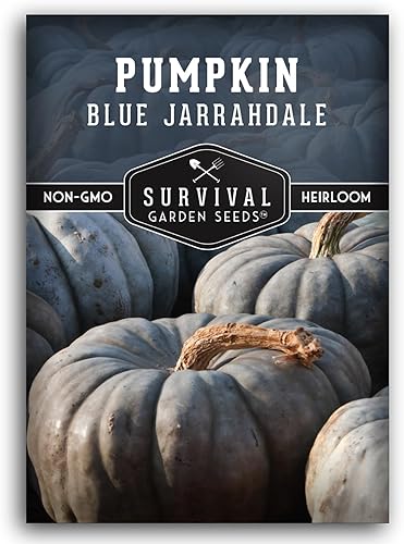 Blue Jarrahdale - Semillas de calabaza para plantar, 1 paquete con instrucciones para plantar y cultivar calabazas azules decorativas y sabrosas en Blue Jarrahdale - Semillas de calabaza para plantar, 1 paquete con instrucciones para plantar y cultivar calabazas azules decorativas y sabrosas en