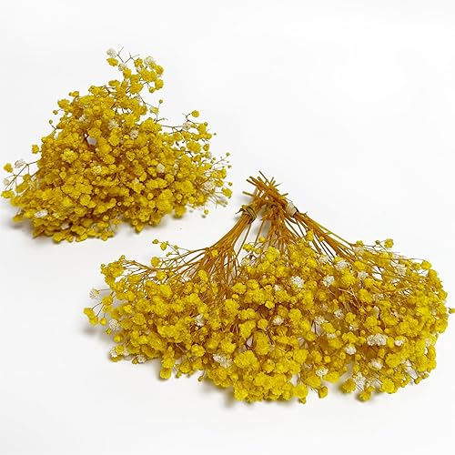 6 ramos preservados del aliento del bebé, tamaño mini, 100% natural, gypsophila, flores de larga duración para jarrón, decoración del hogar,