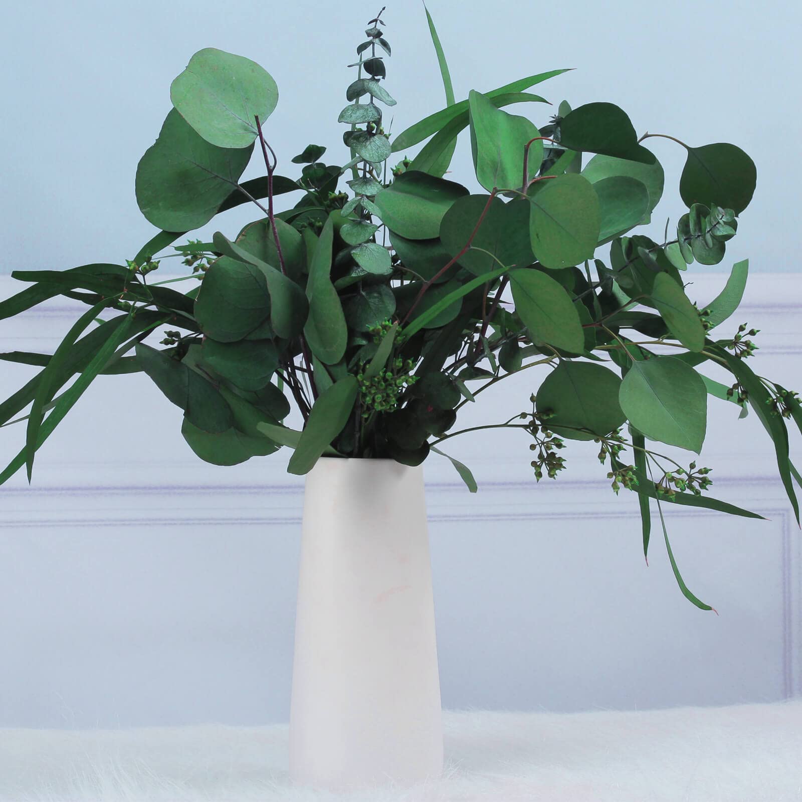 Buy 12 Pcs Mixed Real Dried Eucalyptus Leaves Stems Preserved