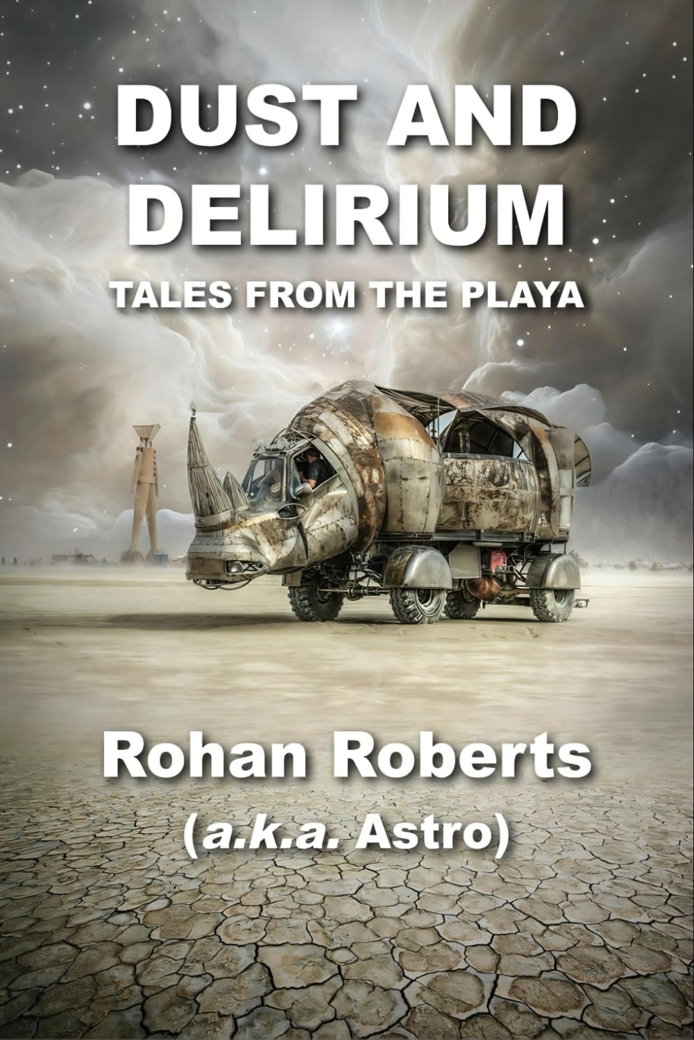 Dust and Delirium: Tales from the Playa