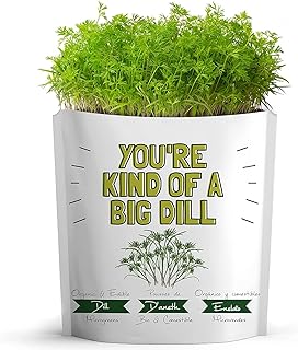 YOU'RE KIND OF A BIG DILL Greeting Card by GIFT A GREEN | Greeting Cards with Organic Microgreens! Just Like Post Cards, Simply Mail and Recipient Gets to Grow & Eat | Greeting Cards for All Occasions | 1 PACK
