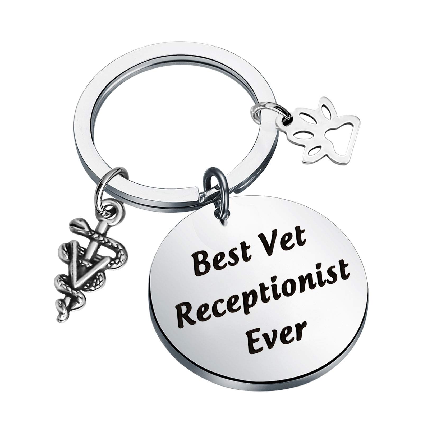 Key Chain Veterinary Veterinary Assistant Keychain Vet Receptionist Keychain Gift ...