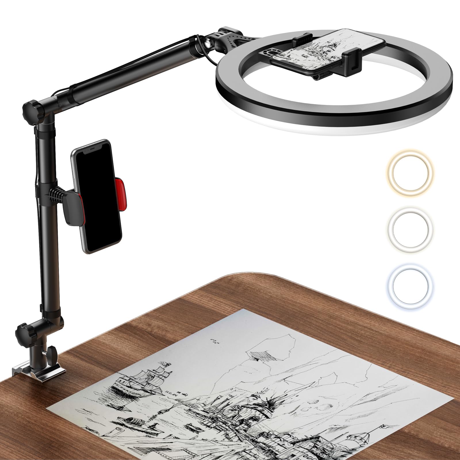 Ring Light with Stand and Phone Holder, USB 10" Ring Light for Desk, Overhead Camera Mount with Ringlight, Desk Lamp with Clamp for Photography/Makeup/Live StreamVideo/YouTube