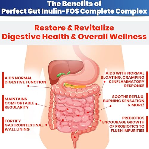Miniatura 4 de Perfect Gut Polvo de inulina FOS para la salud intestinal. Inulina prebiótica. Fibra de agave de inulina prebiótica única 95% FOS