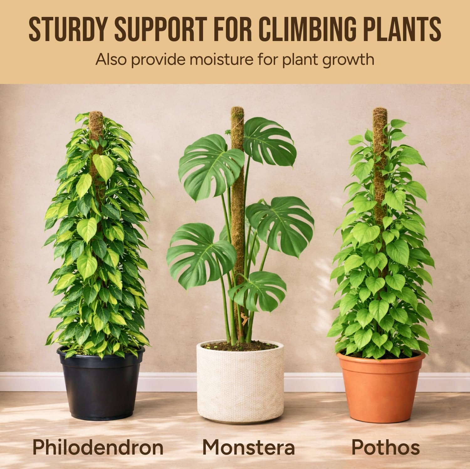 Craft911 Moss Pole - Monstera Support -5