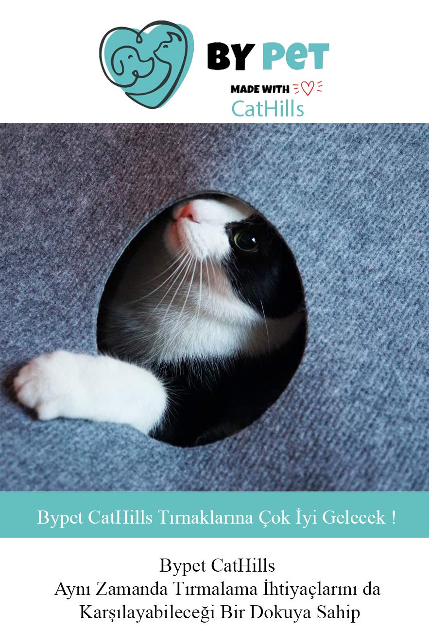 Bypet CatHills İnteraktif Kedi Tepeleri Oyun Alanı ve Saklanma Tüneli