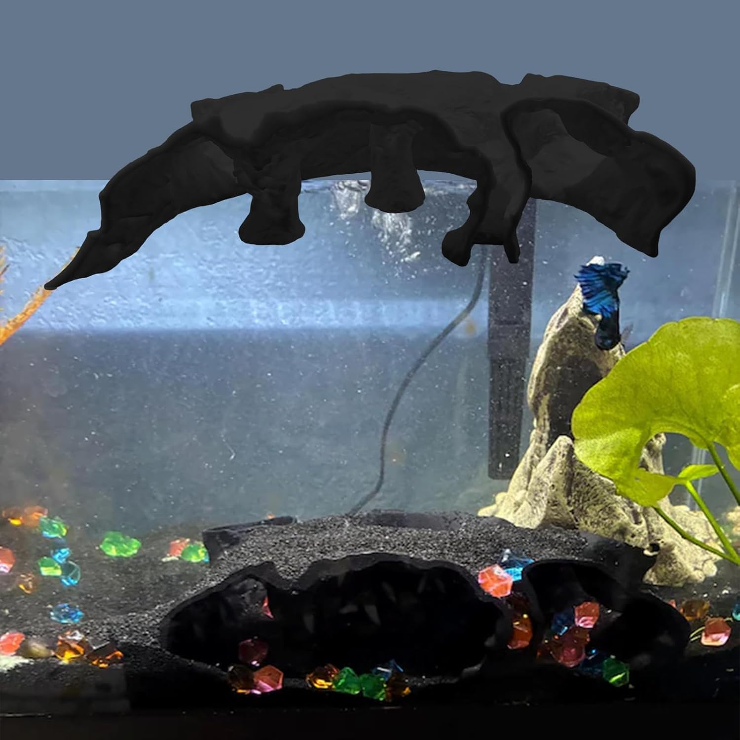 Atlantis Hidden Observation Cave | Aquarium Hideout for Plecos Shrimp Reptiles | Aquarium & Terrarium Decor (Black, XL-14.5 x 8.1 x 3.9 in-Opening around 2.56 in wide)
