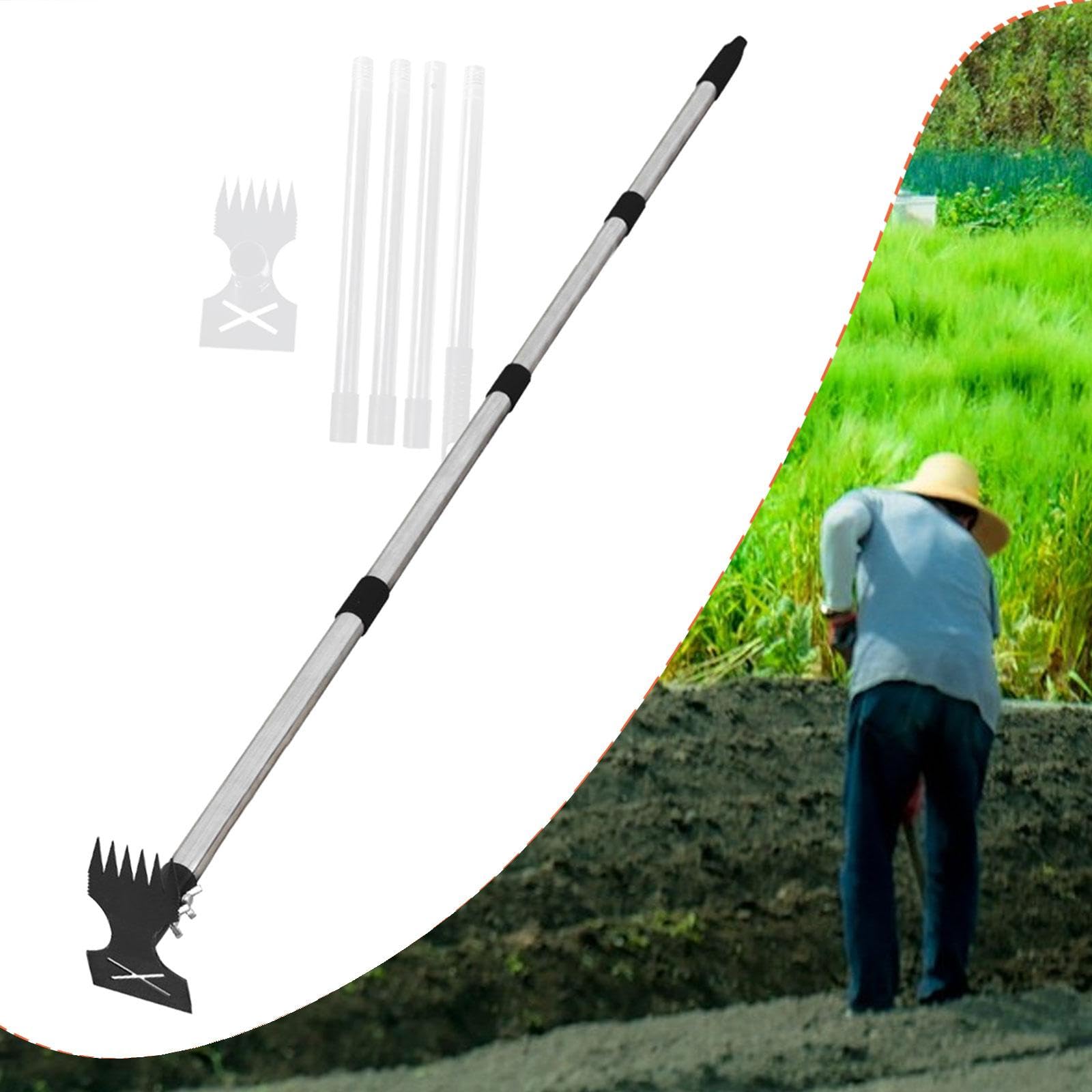 Unkrautstecher Gartenhacke mit langem Stiel, 2-in-1-Handrechen und Unkrautentferner für Landwirtschaft, Garten, Rasen und Einfahrt, 4-teiliger Griff