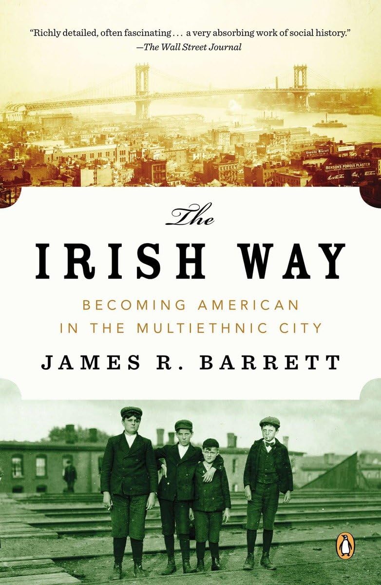 The Irish Way: Becoming American in the Multiethnic City (Penguin History of American Life)