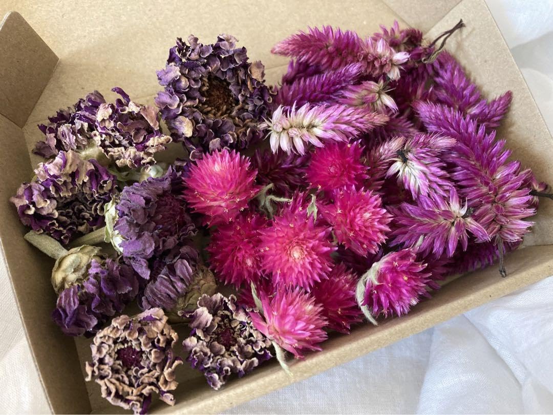 ドライフラワー ドライフラワー ブーケ ミニ | イオンスタイルオンライン 衣料品