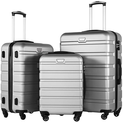 Coolife Luggage 3 Piece Set Suitcase Spinner Hardshell Lightweight TSA Lock (sliver3) - sliver - 20in24in28in